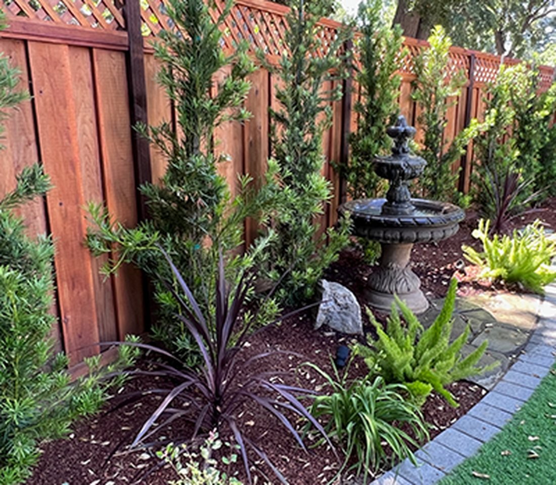 Softscaping and Planting project by La Sierra Quality Landscape
