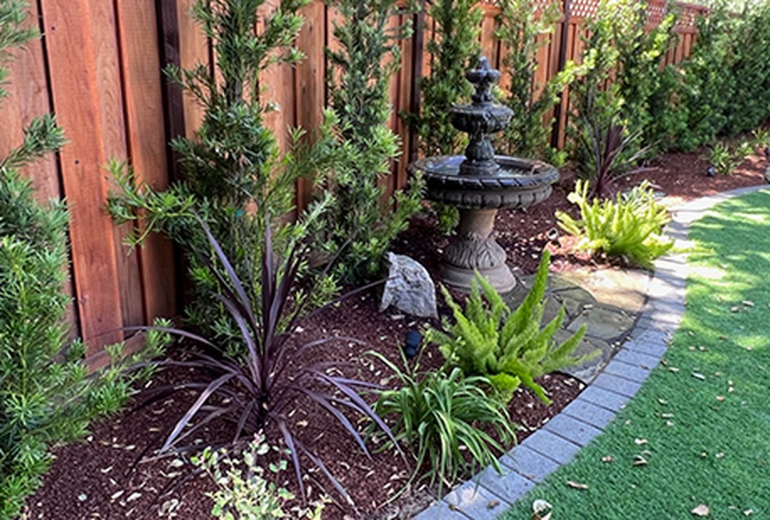 Backyard water feature