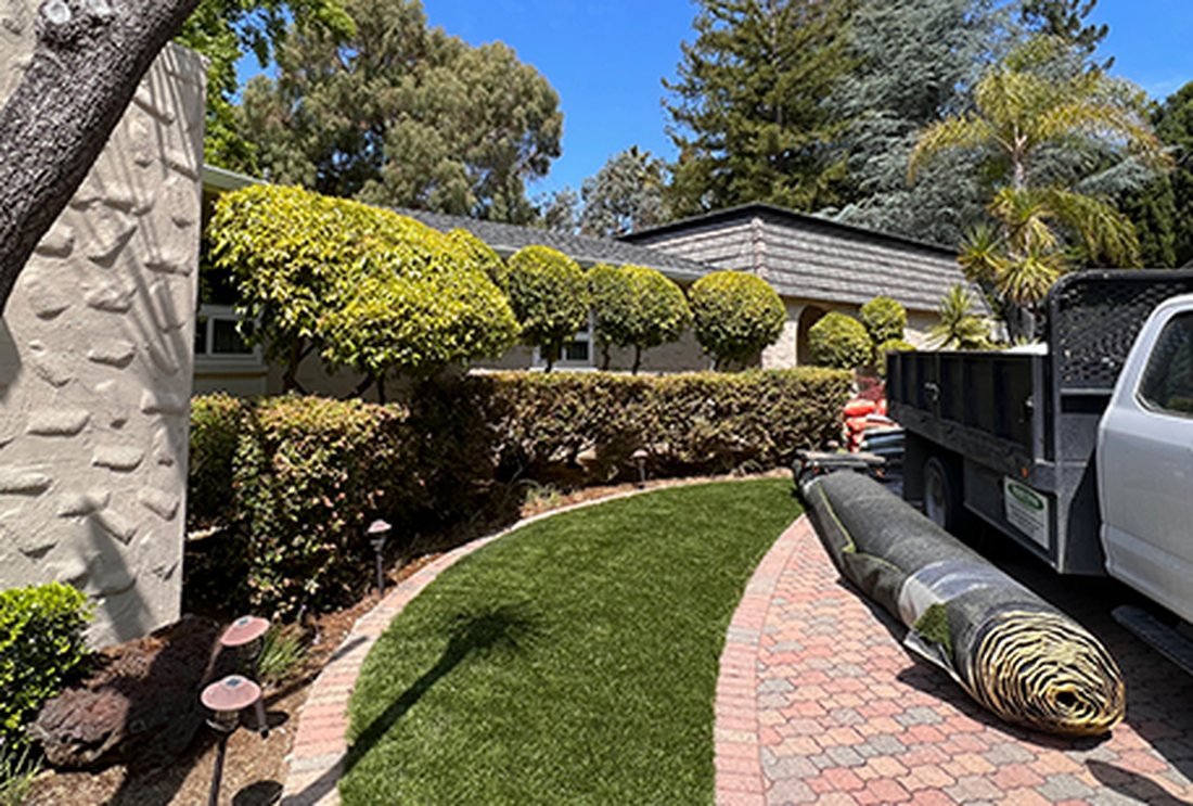 Shaped hedges along a paver path