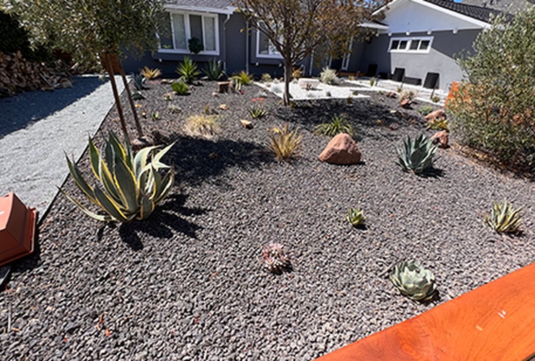 Drought-tolerant gravel garden
