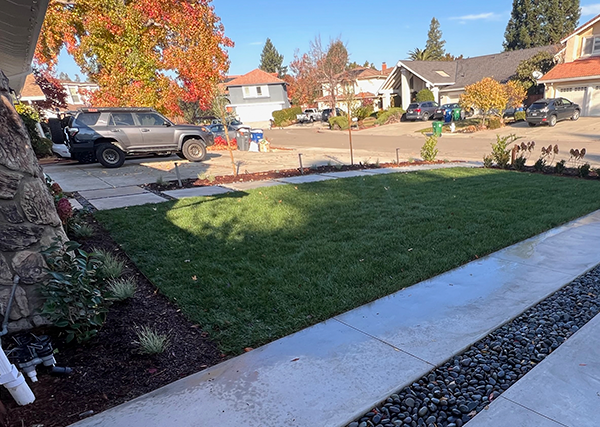 6 https://lsqhardscape.com/wp-content/uploads/2026/07/6.png